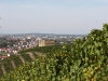 Ausblick Y-Burg